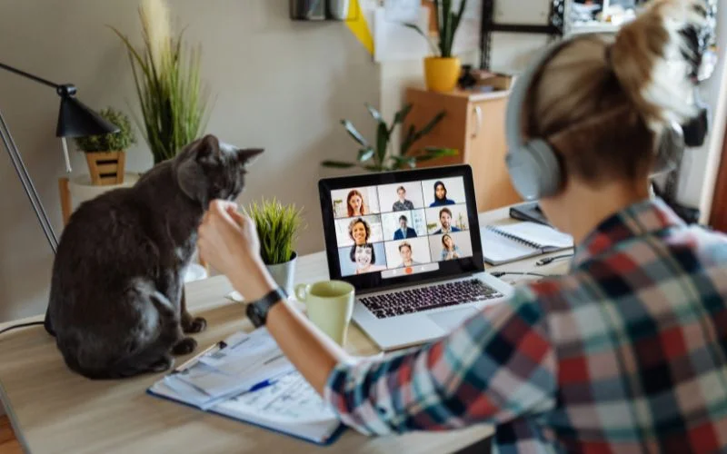 work from home easy jobs